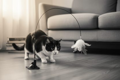 Black and white cat in hunting position with feather wand toy