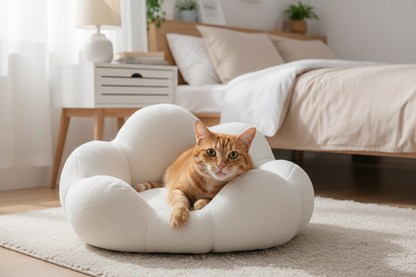 Orange cat peeking over Cloud Cuddle Pet Bed